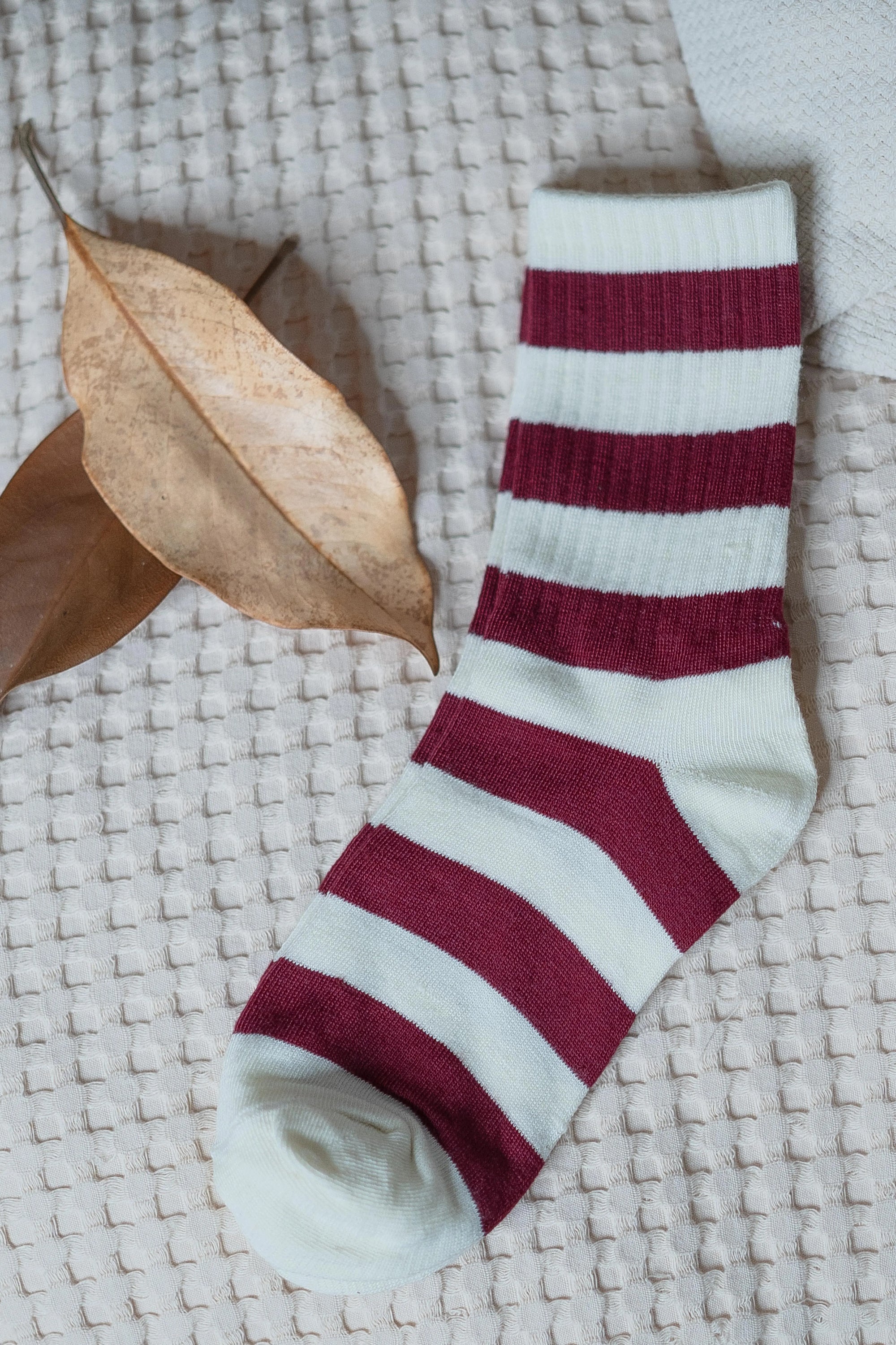 Calzini Righe Sogna con Fabula