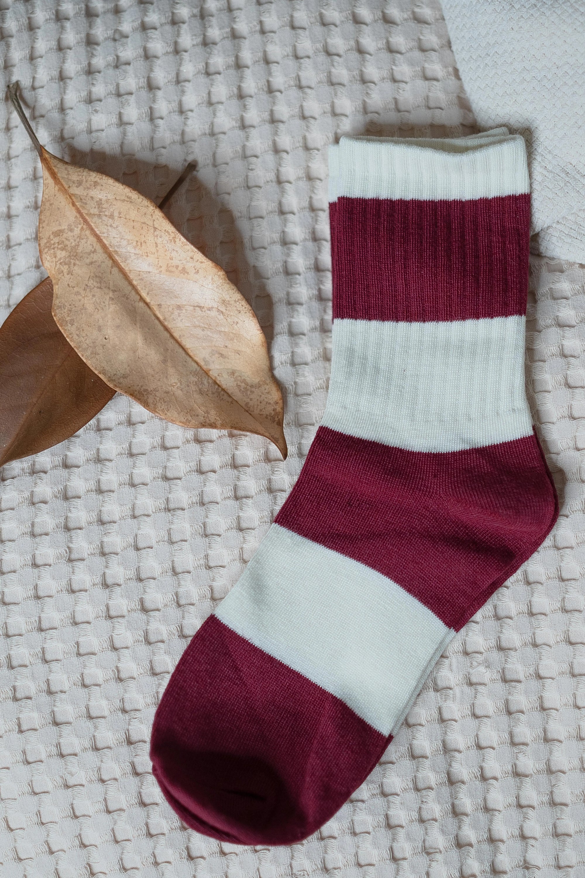 Calzini Righe Sogna con Fabula