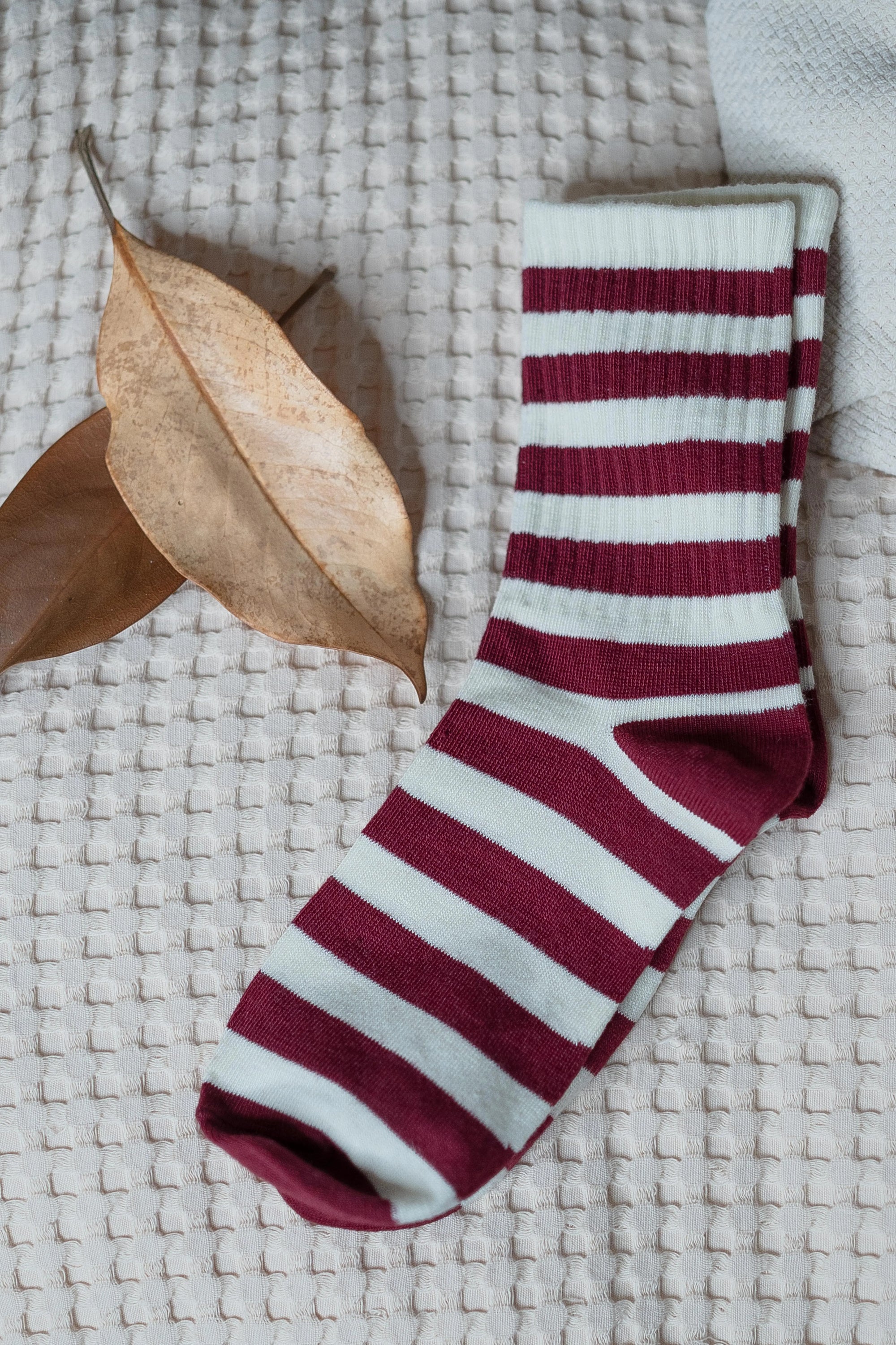 Calzini Righe Sogna con Fabula